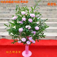 浅紫色(10支橄榄枝+10支洋牡丹) 白色烤漆架子|新款婚庆路引花洋牡丹橄榄枝路引花拱门路引婚礼装饰布景引路花