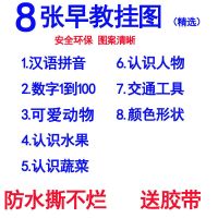 精选8张不重复送胶带|宝宝挂图无声幼儿童0-3岁早教拼音挂图认知启蒙识字贴画无声卡片