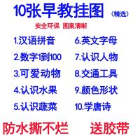 精选10张不重复送胶带|宝宝挂图无声幼儿童0-3岁早教拼音挂图认知启蒙识字贴画无声卡片