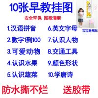 精选10张+身高贴送胶带|宝宝挂图无声幼儿童0-3岁早教拼音挂图认知启蒙识字贴画无声卡片