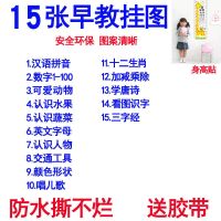 精选15张+身高贴送胶带|宝宝挂图无声幼儿童0-3岁早教拼音挂图认知启蒙识字贴画无声卡片