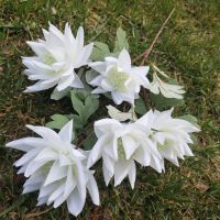 白色|冰山雪莲仿真花新款傣族头饰花餐客厅装饰婚庆布景拍摄道具假花