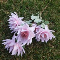 粉色|冰山雪莲仿真花新款傣族头饰花餐客厅装饰婚庆布景拍摄道具假花