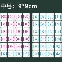 中号磁性音标卡(48张)|英标卡片初中生英语国际音标卡初一音标卡片初中生中学生教具