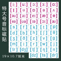 大号磁性音标卡(48张)|英标卡片初中生英语国际音标卡初一音标卡片初中生中学生教具