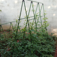 爬藤架种菜架子园艺花架花园阳台藤印象花爬架植物豆角黄瓜架葡萄架户外