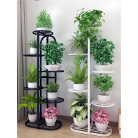 花架子铁艺欧式绿萝多层置物架腾印象阳台客厅室内简约现代落地式花盆架