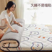 藤印象床垫软垫乳胶家用海绵垫宿舍学生单人租房专用褥子榻榻米地铺睡垫