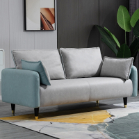 科技布沙发小户型客厅简约现代轻奢双人三人卧室出租房网红服装店