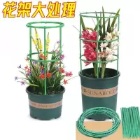 藤印象无限叠加爬藤架花架子室内家用全套花草花架支撑圈稳定器