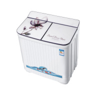 扬子XPB55-2188小型洗衣机洗脱一体双塑桶双缸婴儿童内衣半全自动家用宿舍,单身贵族洗衣神器