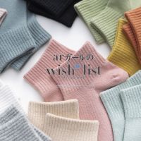 韩版短袜纯色春夏运动可爱百搭船袜ins潮学生网红中筒袜秋