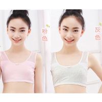 纯棉女孩发育期抹胸9-16岁学生透气背心小学生初中生文胸少女内衣