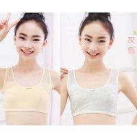 纯棉女孩发育期抹胸9-16岁学生透气背心小学生初中生文胸少女内衣