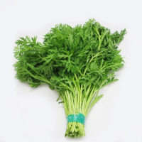 一级茼蒿(精品)(2斤)