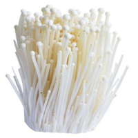 金针菇350g装