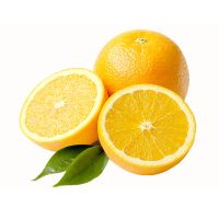 精品赣南脐橙5斤