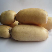 水洗莲菜500g/袋60549