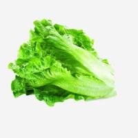 [新鲜蔬菜]花叶生菜500g