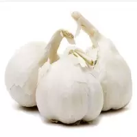 大蒜约1斤/份
