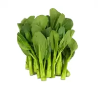 本地菜心400g