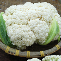 散花菜600g/袋