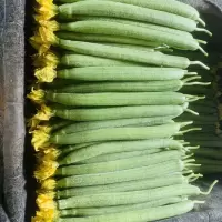 [新鲜]丝瓜500g