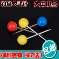 散装钓鱼彩色珍珠大头针定位针固定主线轴线圈线组别针钓鱼小配件