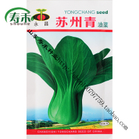 苏州青油菜种子种籽正宗上海青小青菜四季籽种冬季蔬菜孑菜籽南方