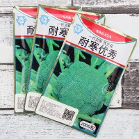 日本耐寒优秀炎秀西兰花种籽孑西兰花种子四季蔬菜种籽菜种西蓝花