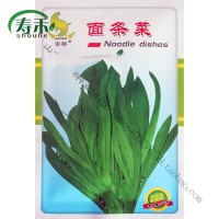 面条菜种子种籽孑菜蔬菜春季籽种盆栽菜籽四季菜种南方青菜