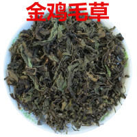 明月草金鸡毛草苗干叶鲜叶神奇救命草白子菜鸡降糖草泰国尼罗基草