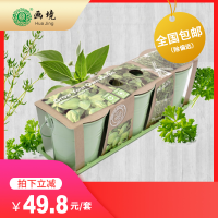 香草种子组合盆栽罗勒欧芹百里香种植套装 室内芳香植物种子套餐