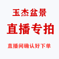室内日式景观松树装饰景植物绿化摆直播专拍