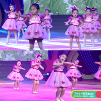 儿童可爱粉舞蹈蓬蓬纱裙演出服幼儿园连衣裙女童公主裙合唱表演服