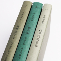 舒国治旅行散文3册 流浪集+理想的下午+外汉的京都 精装梁文道长文推荐 理想国 穷中谈吃