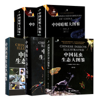 [全5册]中国生态大图鉴 昆虫生态大图鉴+鸟类生态大图鉴+蜻蜓大图鉴+蜘蛛生态大图鉴 昆虫大全图鉴