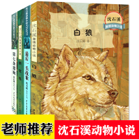沈石溪动物小说全集4册