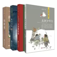 我与共和国一起成长 煎饼花北国少年行那时月光小兵雄赳赳向新中国成立70周年献礼之作全4册