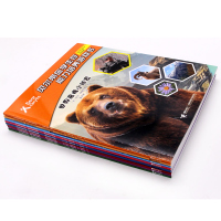 知识科普百科书籍 荒野求生手册 野外生存能力培养游戏书野外生存工具书