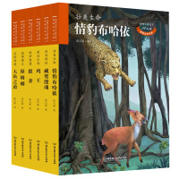 沈石溪动物小说全集(六册) 鸡王+大鱼之道+情豹布哈依+保姆蟒+狼妻+藏獒渡魂动物小说大王沈石溪