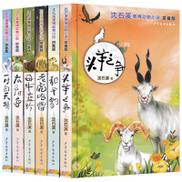 沈石溪激情动物小说注音版全套6册和平豹/老虎哈雷/太阳鸟/母牛蓝铃/头羊之争/一对白天鹅