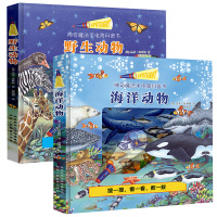 海洋动物 小手电大探秘系列 神奇魔法手电筒科普书野生动物胶片书