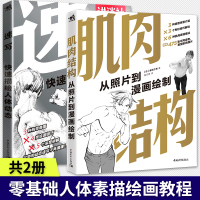 套装2本速写快速描绘人体动态肌肉结构从照片到漫画绘制人物临摹线性线描线面结合入