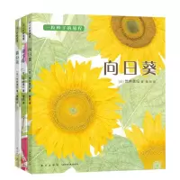 一粒种子的旅程 套装3册 向日葵 牵牛花 蒲公英