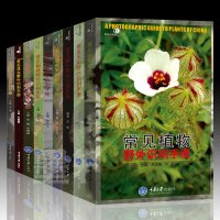 好奇心书系 野外识别手册 常见鸟类/植物/昆虫/蝴蝶/蘑菇/蜘蛛/南方野花/天牛/蜗牛野外识别手册 套装全9册