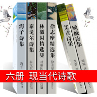 顾城诗集海子的诗徐志摩精选集林徽因散文泰戈尔诗集艾青诗选飞鸟集新月集古檀迦利再别康桥全集你是人间四月天中国现当代诗歌