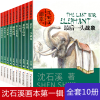 沈石溪画本辑全套10册第七条猎狗/后一头战象/白象家族红奶羊儿童文学动物小说系列