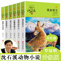 沈石溪品藏书系动物小说系列全套6册 双面猎犬+疯羊血顶儿+混血豺王+红飘带狮王+雄狮去流浪+虎娃金叶子 四五年级学生课外