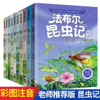 昆虫记 彩绘注音版正版全套10册法布尔 一二三年级课外书必读6-7-8-9-12岁少儿图书科普百科 小学生十万个为什么故